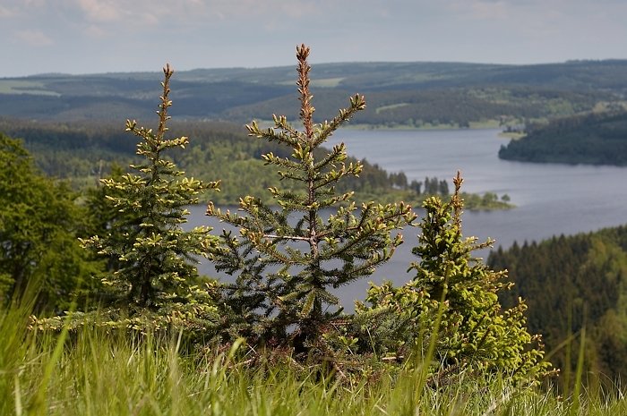 Přehrada Fláje / Flaje dam #1