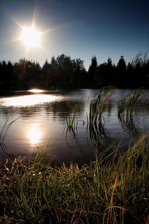 Velký radní rybník / Big Council Pond