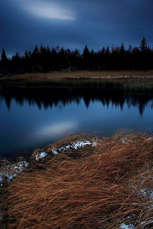 Černý rybník v prvním sněhu / Black Pond at a first snow #3