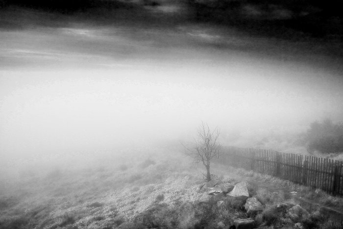 ... do mlhy / ... into a fog #2