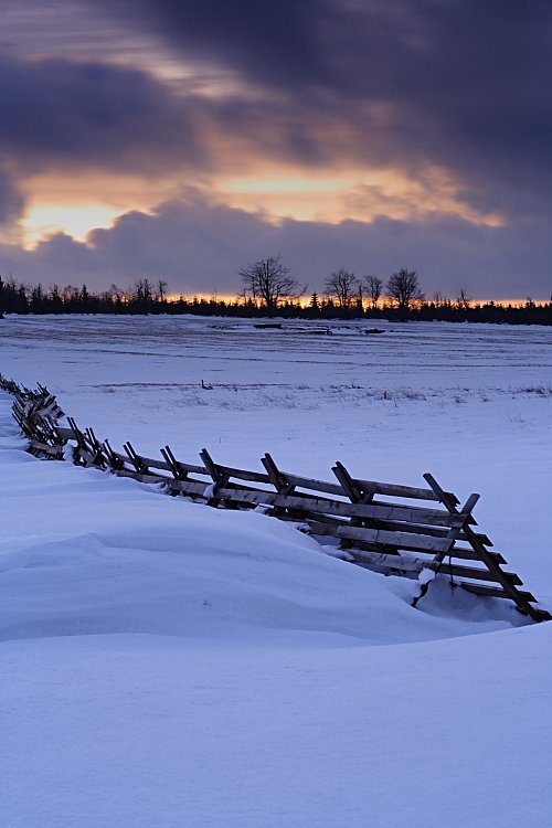 Zimní soumrak / Winter twilight