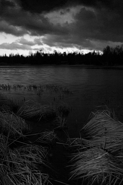 Černý rybník / Black Pond