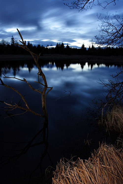 Večer u Černého rybníka / Evening at the Black Pond