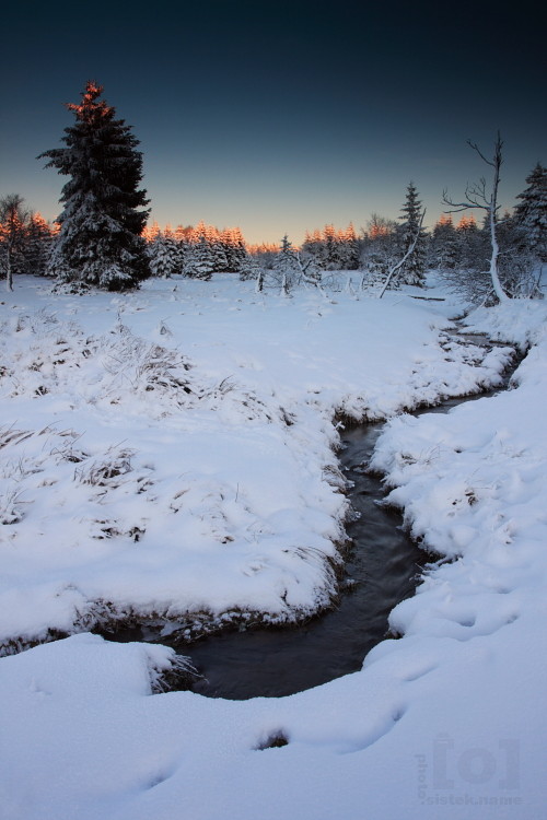Zima na Radním potoce / Winter at the 'Radni potok' creek