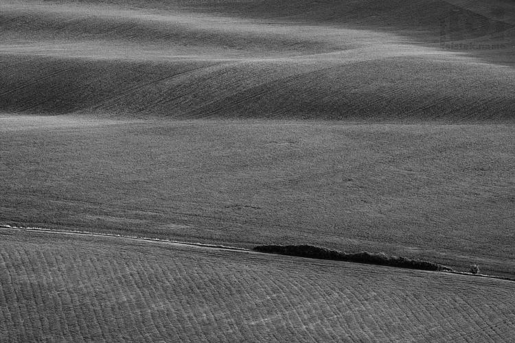 Cesta v polích / A road in the fields #1