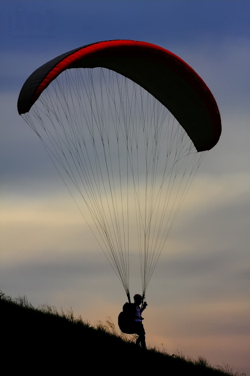 Paragliding #1