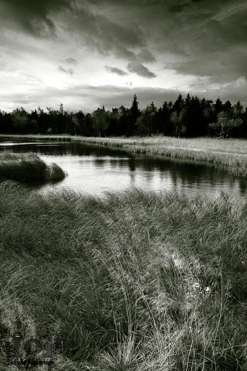 Černý rybník / Black pond #1