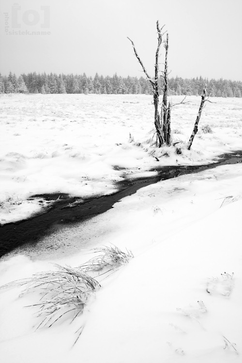 Potůček ve sněhu / Streamlet in the snow