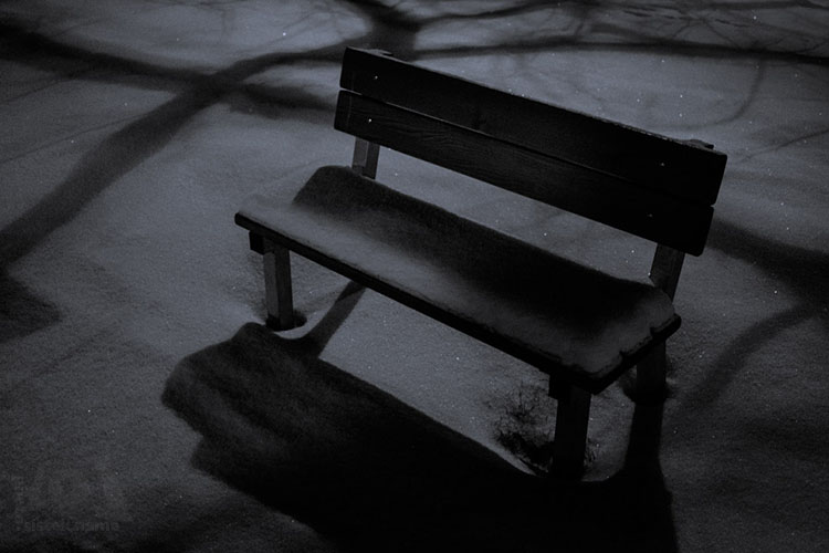 Večer v zasněženém parku / An evening in the snow covered park