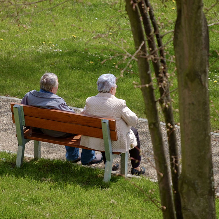 Jarní relaxace / A spring relaxation #1