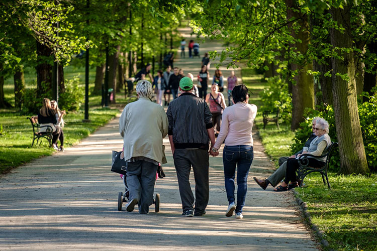 Krásný den na procházku / Beautiful day for a walk