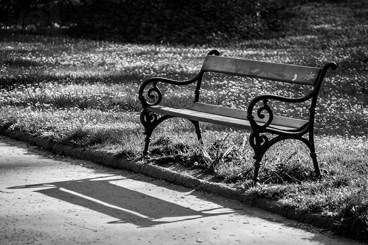 Lavička / A bench