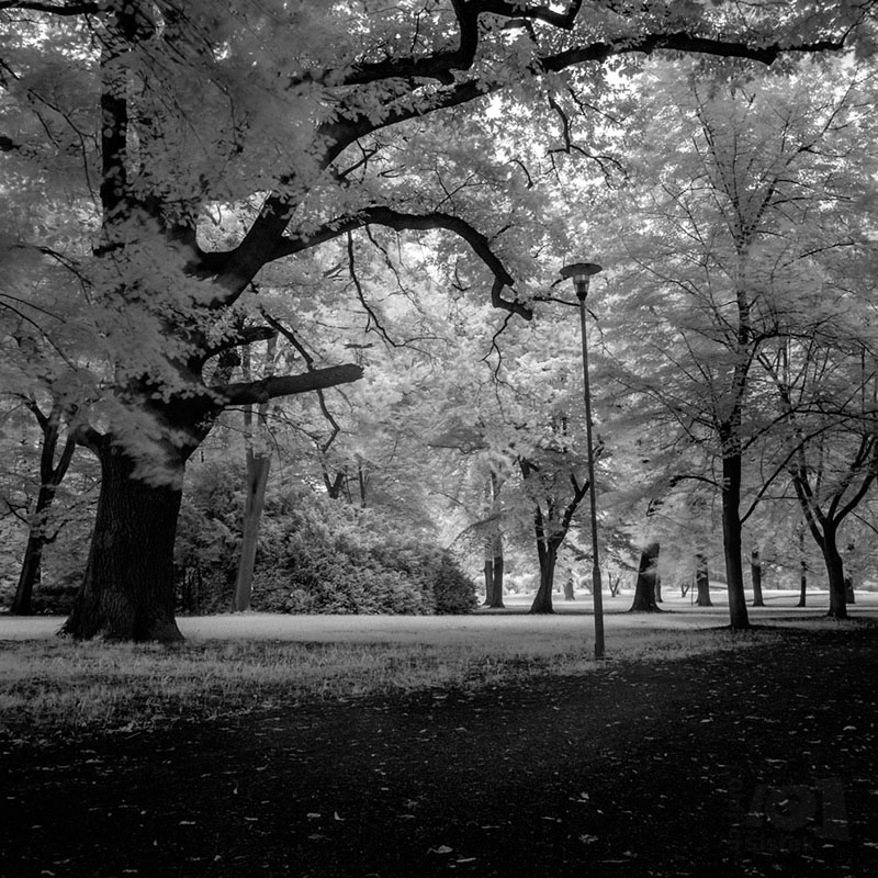 Prázdný park / The empty park