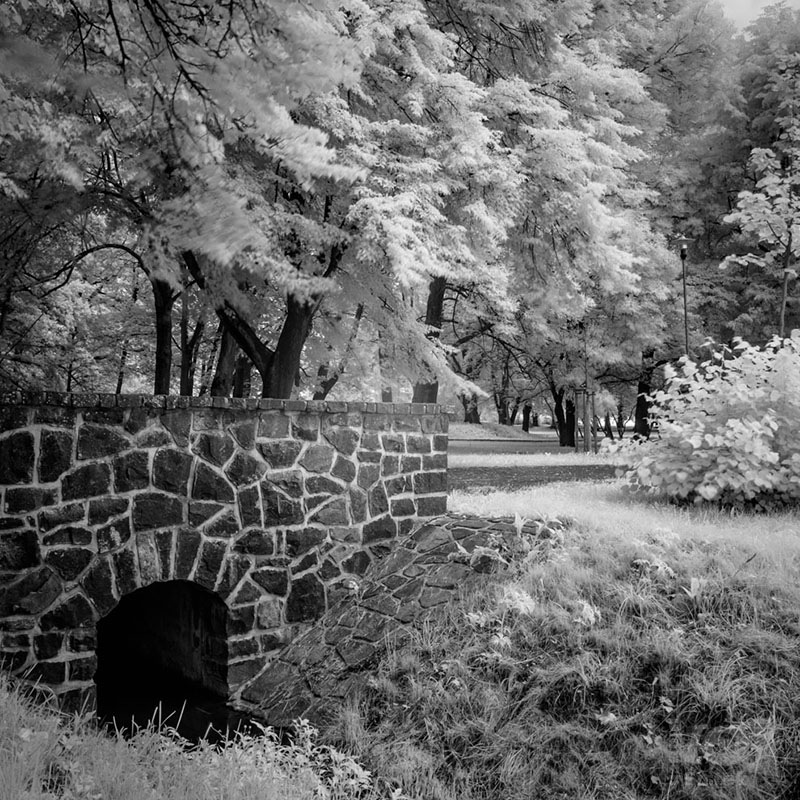 Můstek v parku / Small bridge in the park