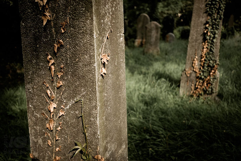 Starý židovský hřbitov / Old jewish cemetery