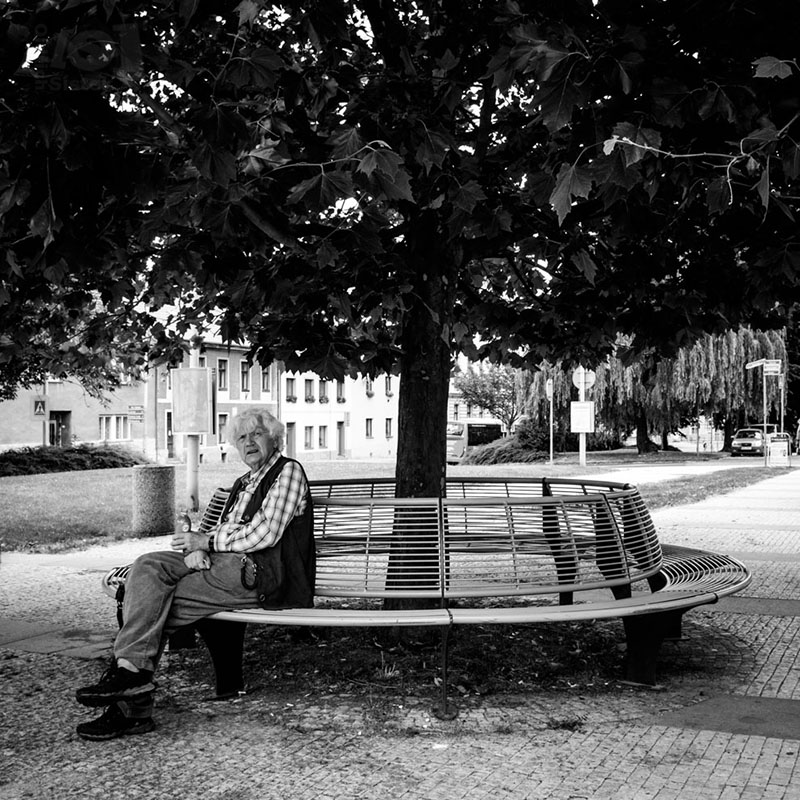 Starý muž pod stromem / Old man under a tree