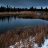 Černý rybník v prvním sněhu / Black Pond at a first snow #2