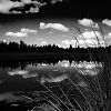 Černý rybník / Black Pond