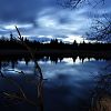 Večer u Černého rybníka / Evening at the Black Pond