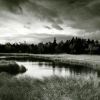 Černý rybník / Black pond #1
