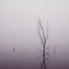 V mlze / In the fog #3