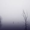 V mlze / In the fog #4
