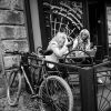 Kolo u kavárny / A bicycle at the cafe